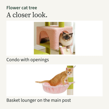 Close-ups of a cat in the pink condo with openings, and the pink basket lounger