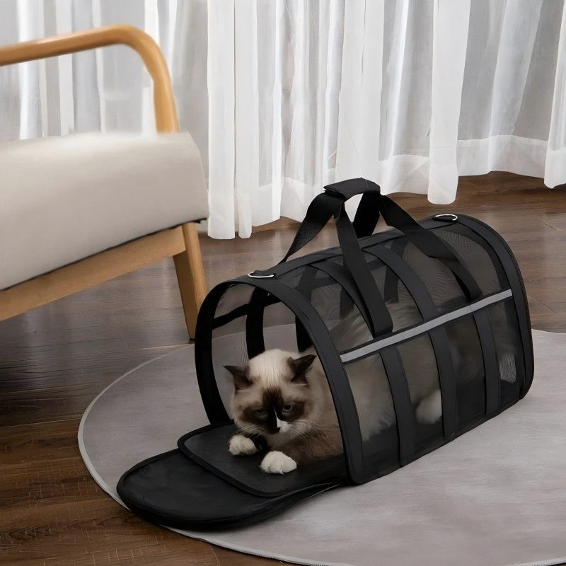 A Siamese-type cat lying inside the black mesh carrier, end flap folded open