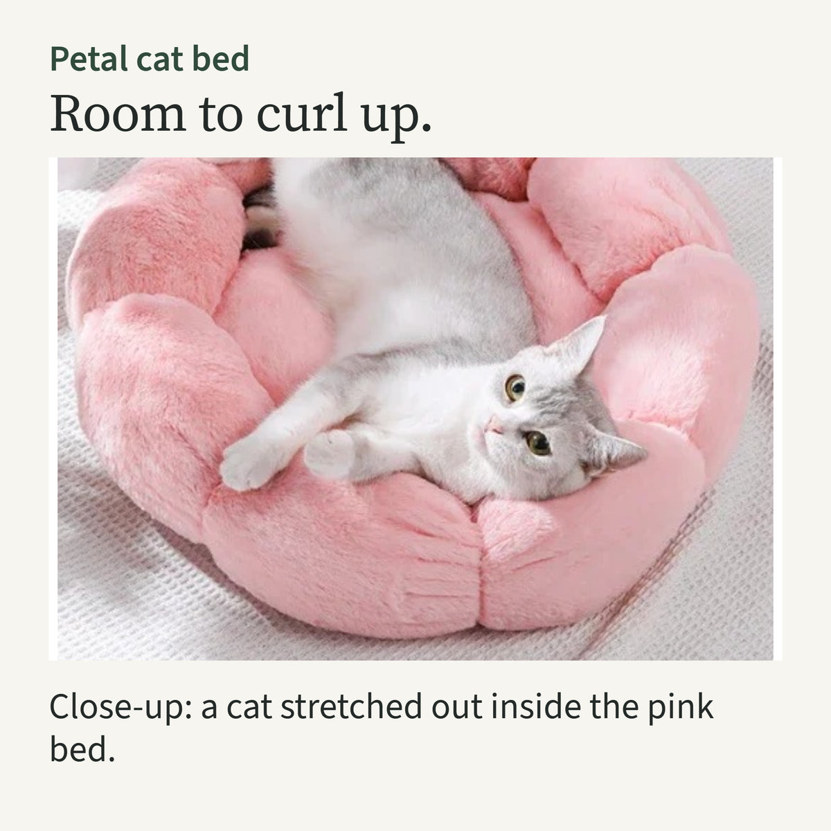 A grey and white cat stretched out inside the pink petal bed