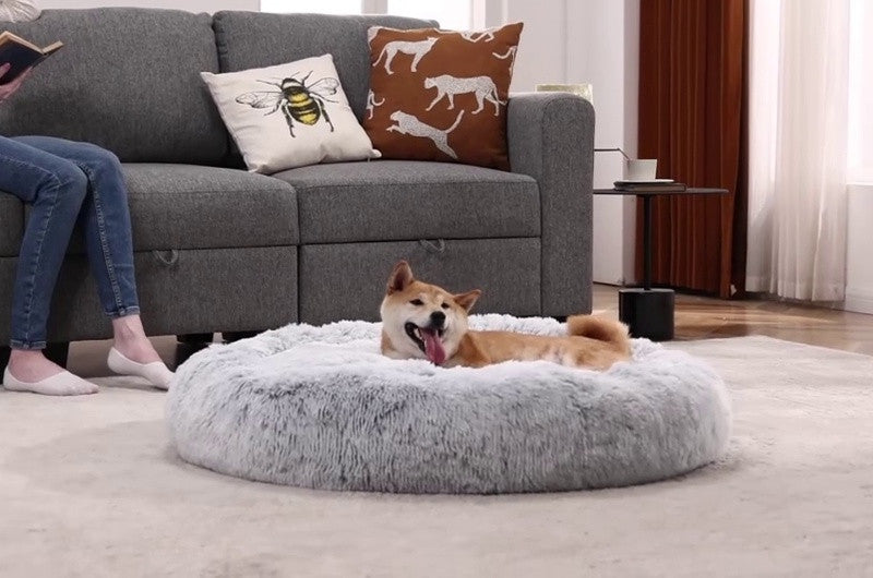 Grey round faux-fur donut dog bed on a rug with a shiba lying in it, beside a sofa