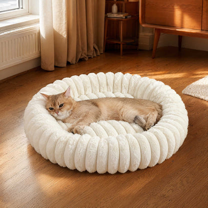 A ginger cat rests in the cream tube-rim bed in a sunlit room by a window