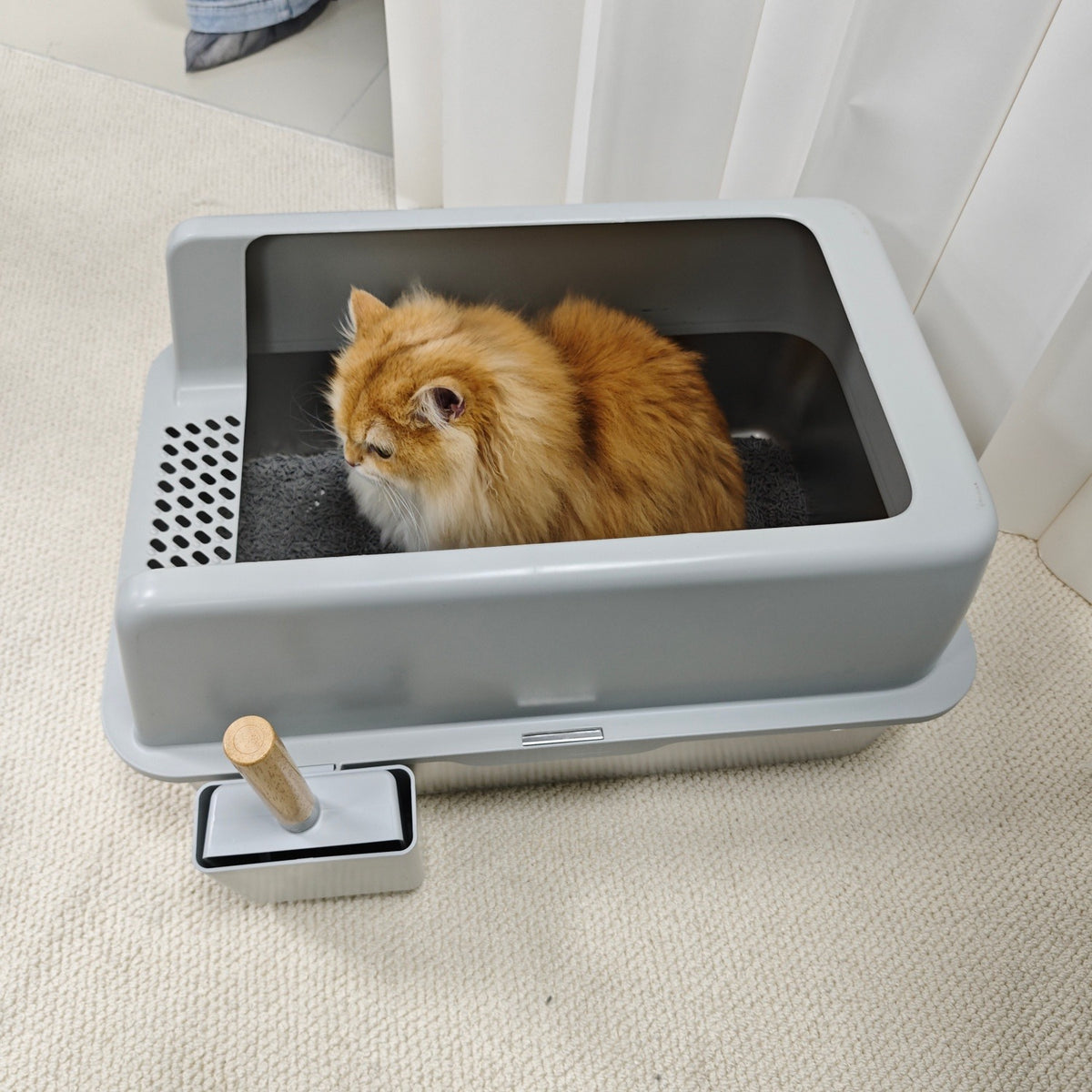 Long-haired ginger cat sitting in the grey high-sided litter box, with the scoop in its holder beside it