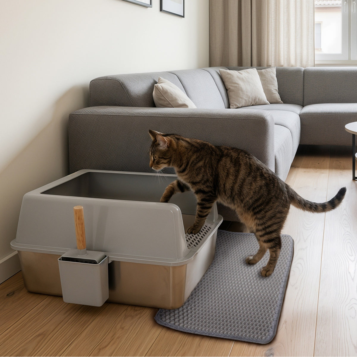 Tabby cat stepping into the grey and silver litter box beside a sofa, with a grey mat underneath