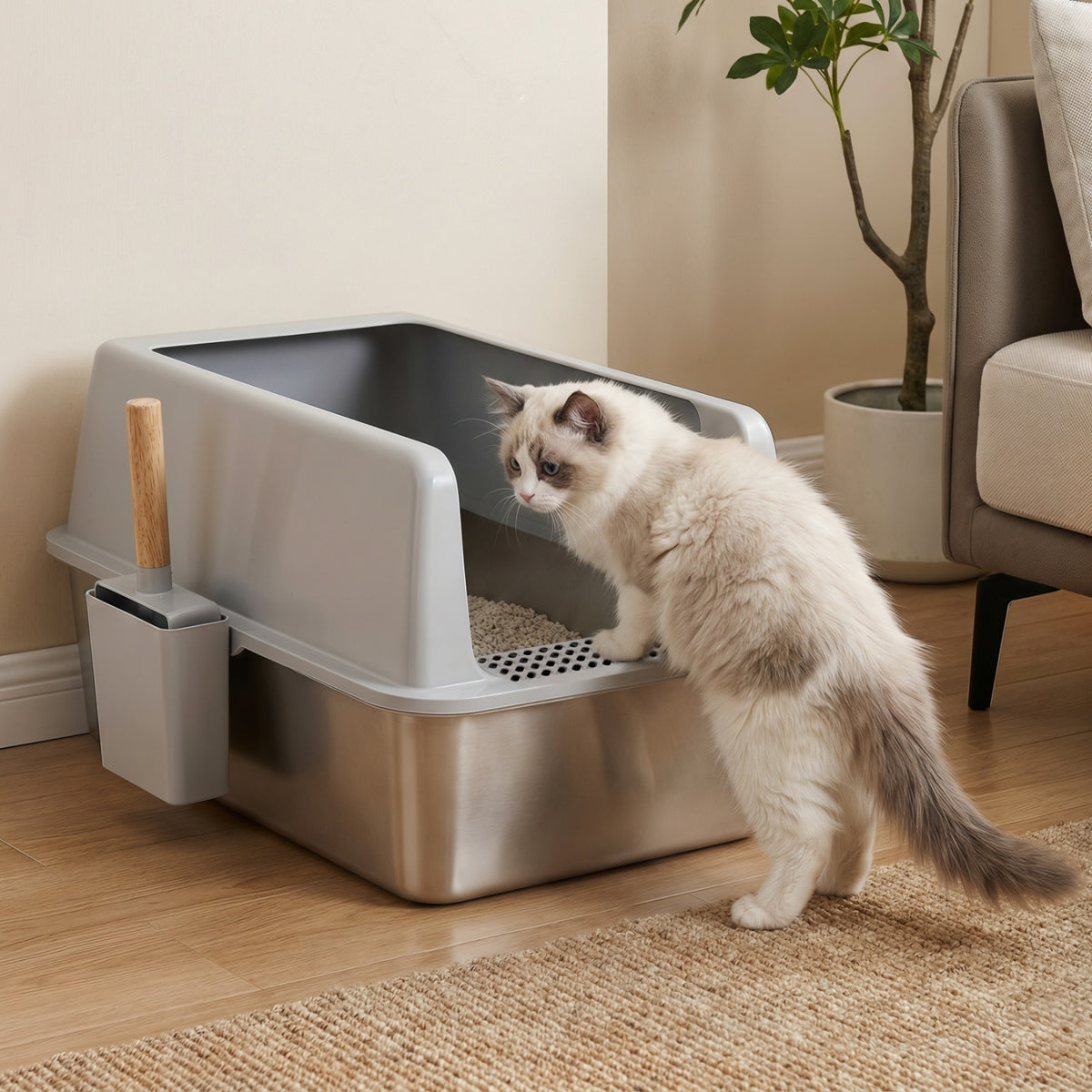 Fluffy white cat looking into the grey and silver litter box