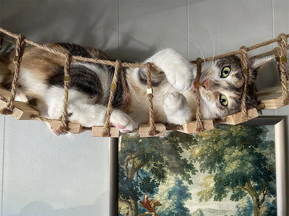 Two cats lying on the wooden slat and rope bridge, seen from below
