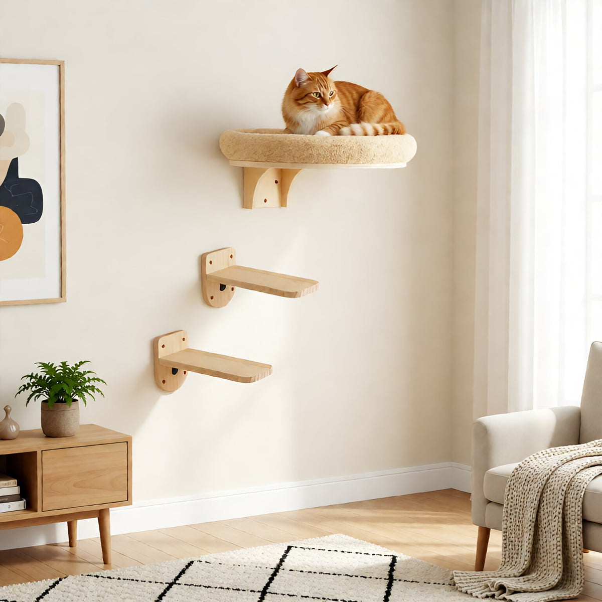 Wall bed with a cat and two step shelves below it on a living-room wall