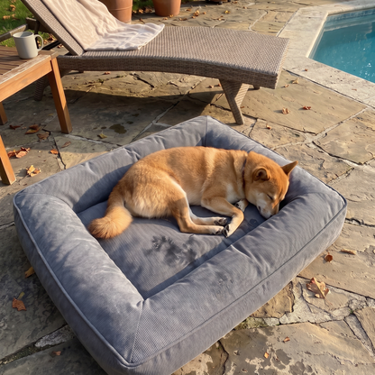 Dog bed — additional view 3