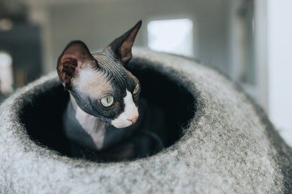 Gradient Wool Felt Cat Cave for Indoor Cats & Kittens, Modern Calming Hideaway Bed for Hiding & Napping, for Living Rooms, Bedrooms & Quiet Corners