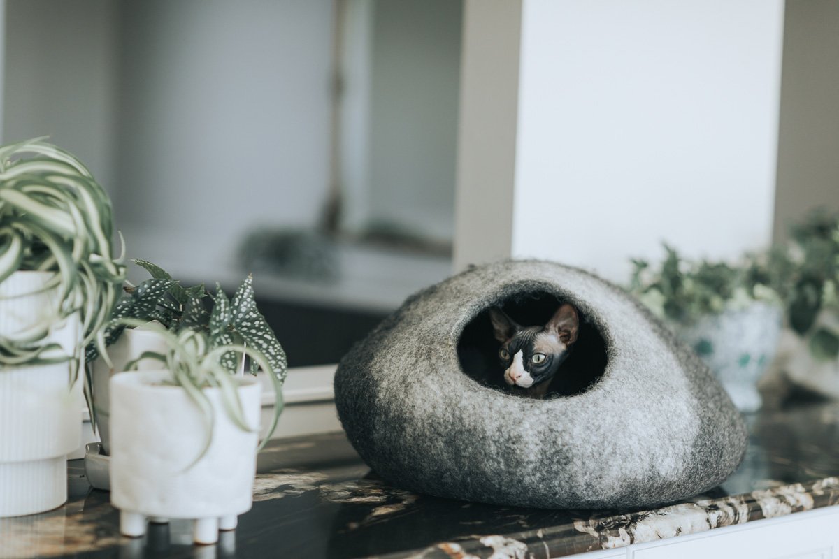Gradient Wool Felt Cat Cave for Indoor Cats & Kittens, Modern Calming Hideaway Bed for Hiding & Napping, for Living Rooms, Bedrooms & Quiet Corners