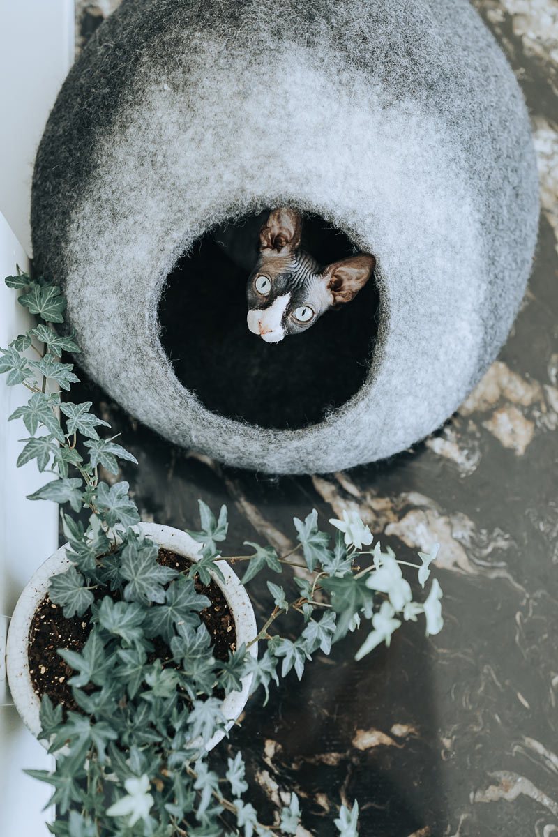 Gradient Wool Felt Cat Cave for Indoor Cats & Kittens, Modern Calming Hideaway Bed for Hiding & Napping, for Living Rooms, Bedrooms & Quiet Corners