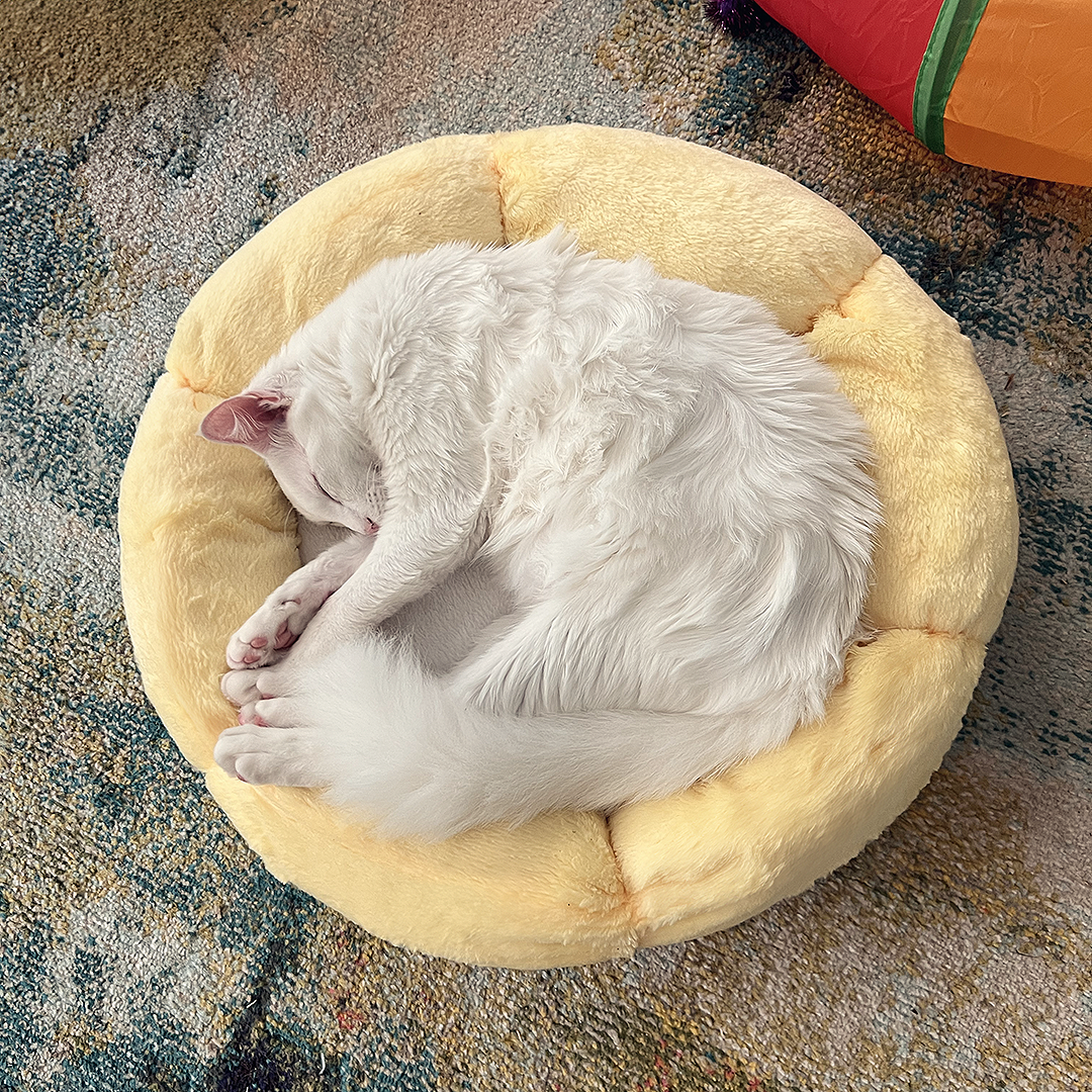 Sun Shaped Cat Bed for Cats & Small Dogs, Calming Faux Fur Round Pet Bed with Bolstered Sides, Cozy Anti-Anxiety Nest for Sleeping & Lounging