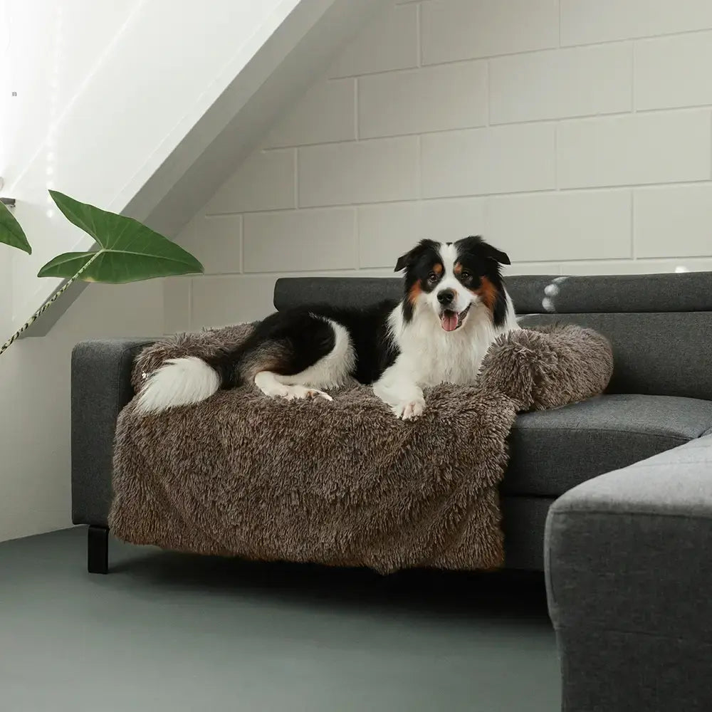 Fluffy Couch Cover for Dogs & Cats, Soft Plush Pet Sofa Protector Blanket, Furniture Cover for Living Rooms, Sofas, Loveseats & Pet Hair Defense